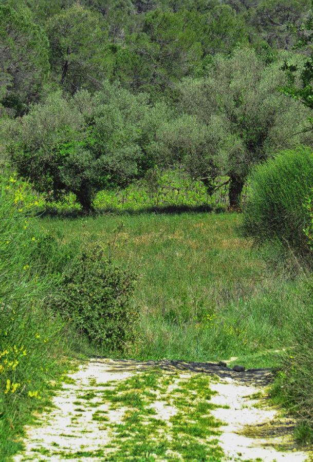 La Bastide De Canaules ภายนอก รูปภาพ